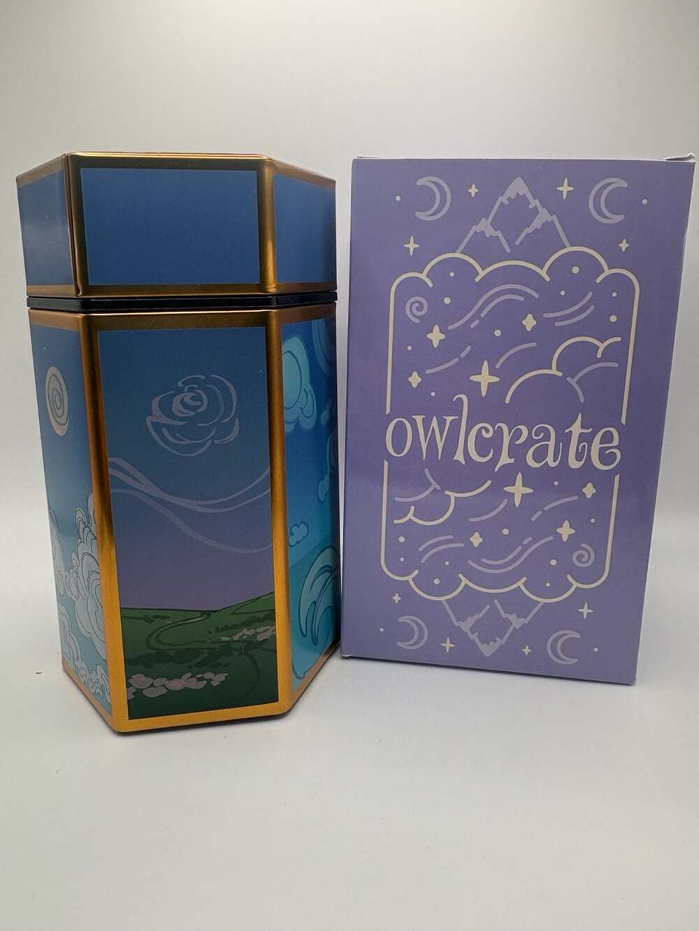 Owlcrate Acotar Inspired Hexagonal Tin Storage Container